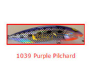 PURPLE PILCHARD (1039)